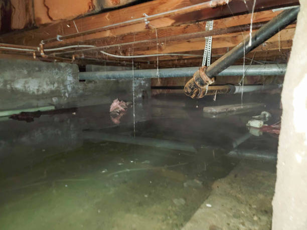 Water damage restoration process in Lantana, FL
