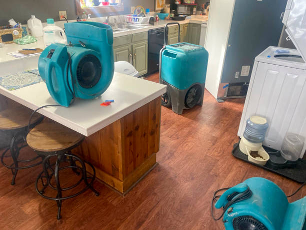 Best Professional water damage repair  in Lantana, FL