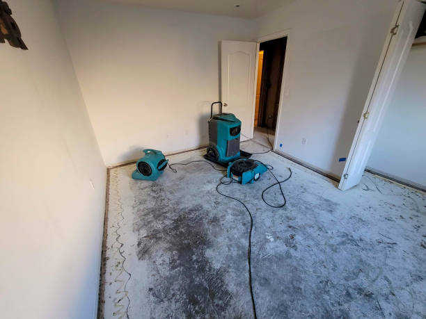 24/7 water damage repair in Lantana, FL