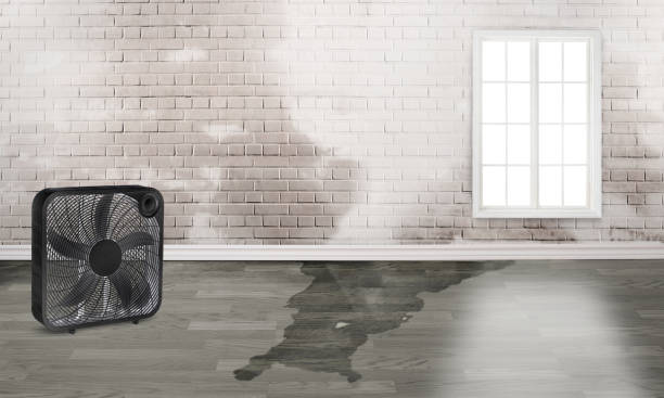 Best Commercial water damage restoration  in Lantana, FL