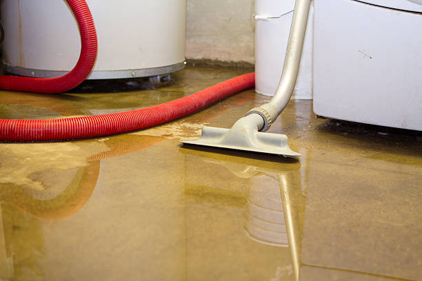 Best Mold removal after water damage  in Lantana, FL