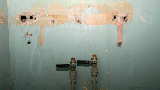 Best Water damage restoration near me  in Lantana, FL