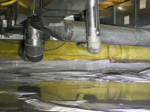 Best Carpet water damage restoration  in Lantana, FL