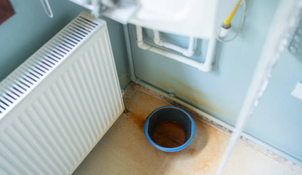 Best Water damage restoration process  in Lantana, FL