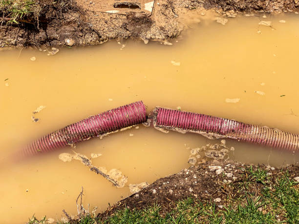 Local water damage restoration in Lantana, FL