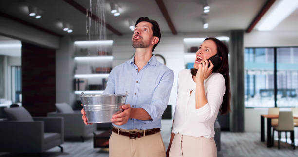 Best Residential water damage restoration  in Lantana, FL